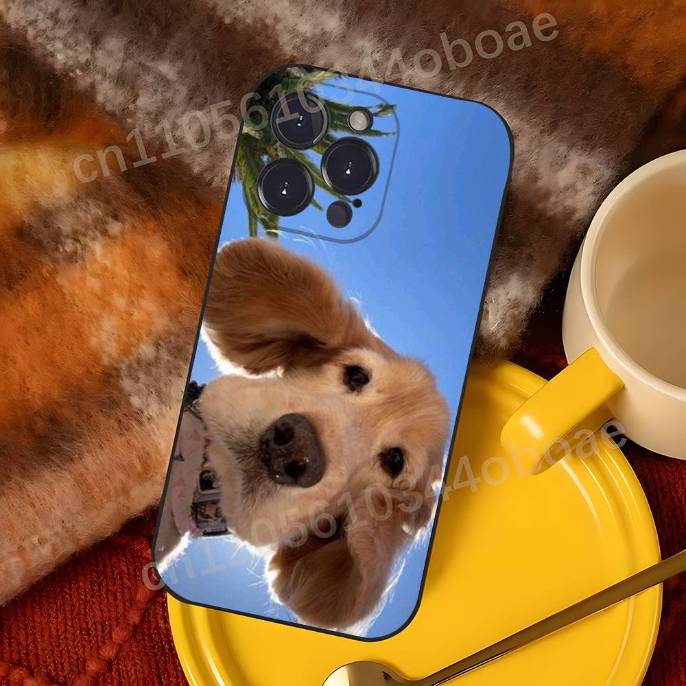 바이럴 도그 폰 케이스 아이폰 17,16,15,14,1 - Phone Cases Viral 리뷰 및 가격